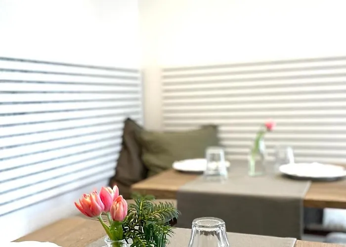 招待所 Gaestehaus Teerlings Hafen 博尔库姆